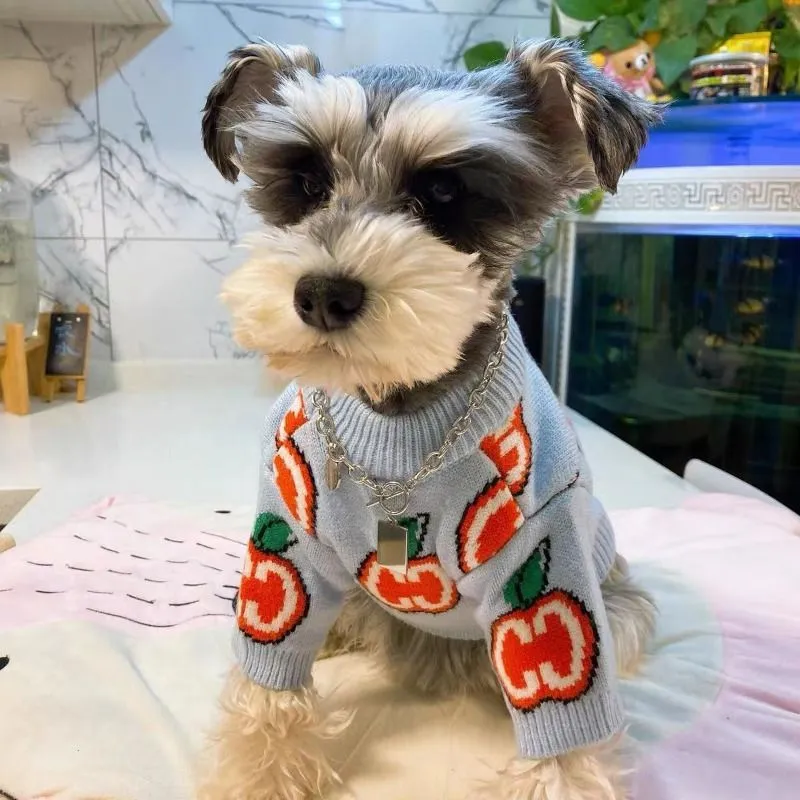 Letter Sweater Pet Dog Clothes - Winter Clothing For Boys ulasan dan harga