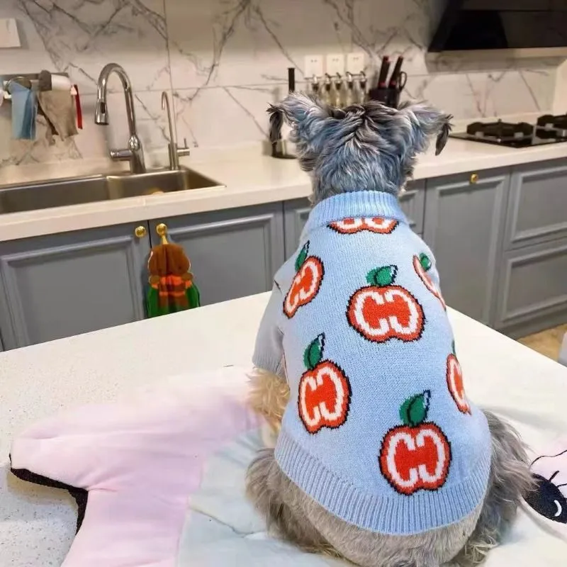 Letter Sweater Pet Dog Clothes - Winter Clothing For Boys ulasan dan harga
