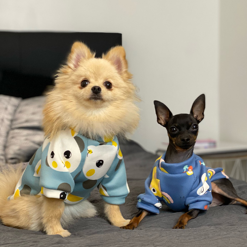 Xs Dog Clothes for Small Dogs  - Winter Clothing For Boys ulasan dan harga