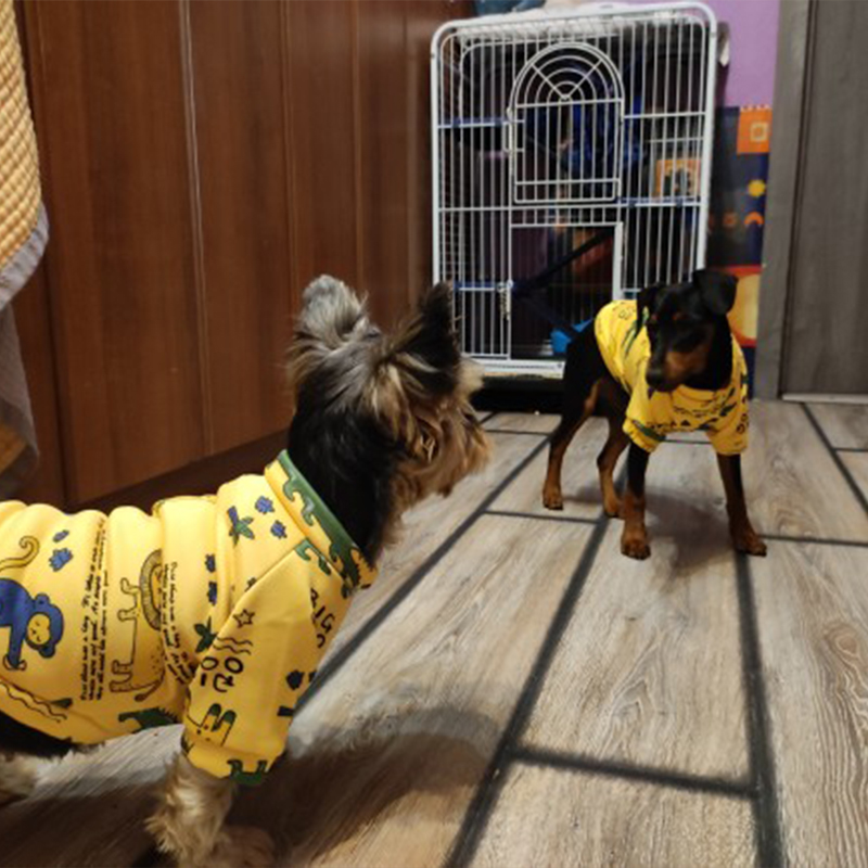 Xs Dog Clothes for Small Dogs  - Winter Clothing For Boys ulasan dan harga